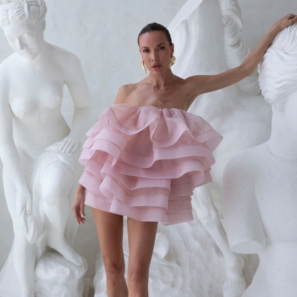243. L'IDEE MAYFAIR MINI Dress BLUSH ORGANZA $455 Like New Sz 4